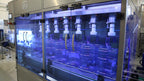 Leak Tester Machine | Bottle Leakage Control System